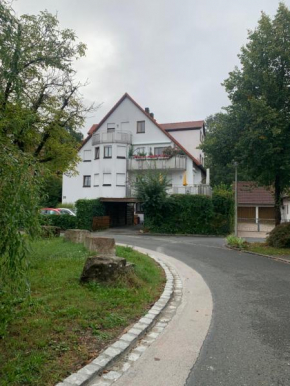 Sonnige Dachwohnung